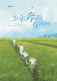 少年奔跑在田间 - 陈伟军