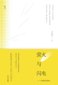 萤火与闪电 - 李满强