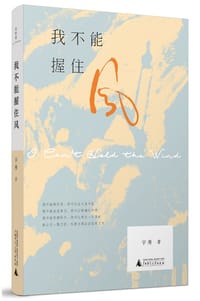 书籍 我不能握住风的封面