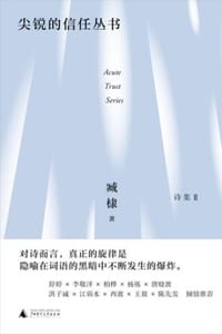 尖锐的信任丛书 - 臧棣