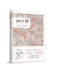 书籍 袖中锦的封面