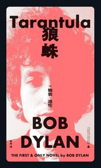 书籍 狼蛛的封面