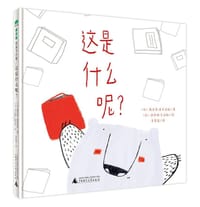 这是什么呢？