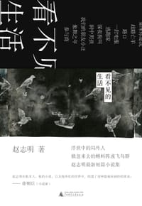 书籍 看不见的生活的封面