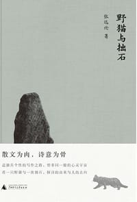 野猫与拙石