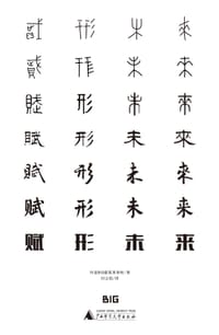 赋形未来