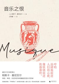 音乐之恨