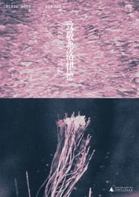 致敬弗洛伊德