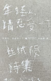 年轻人，请忍受一下 - 丝绒陨