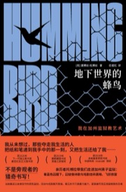 地下世界的蜂鸟