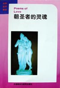 书籍 朝圣者的灵魂的封面