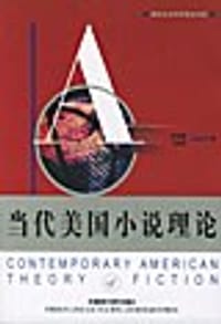 书籍 当代美国小说理论的封面
