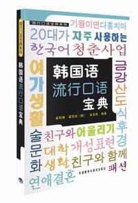 书籍 韩国语流行口语宝典的封面