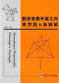 书籍 数学竞赛平面几何典型题及新颖解的封面