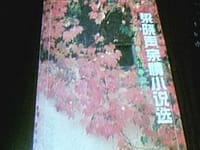 梁晓生亲情小说选