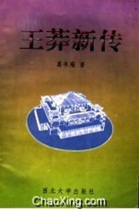 王莽新传