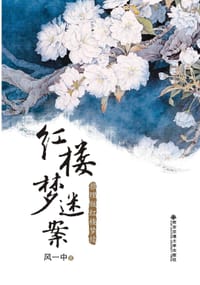 红楼梦迷案 - 风一中