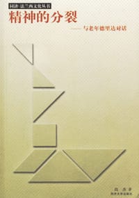 书籍 精神的分裂的封面