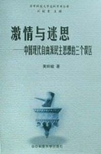 书籍 激情与迷思的封面