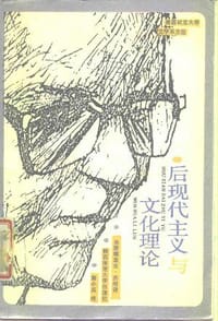 书籍 后现代主义与文化理论的封面