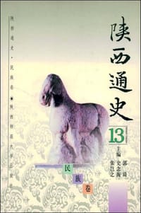 陕西通史·13 - 无名图书