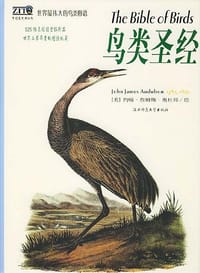 书籍 鸟类圣经的封面