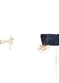 黑铁时代 - 王小波