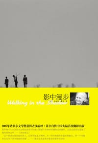 书籍 影中漫步的封面