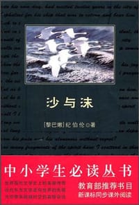 书籍 沙与沫的封面