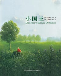 小国王 - [德]阿尔塞尔•哈克（著）