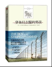 书籍 穿条纹衣服的男孩的封面