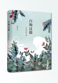 白驹过隙——人生的缝合者