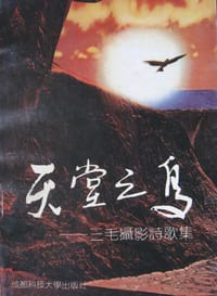 天堂之鸟 - 三毛