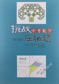 挑战中考数学压轴题