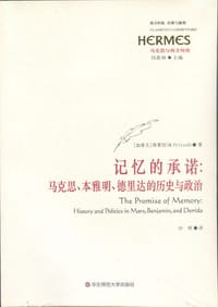 书籍 记忆的承诺的封面