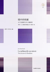 书籍 镜中的忧郁的封面