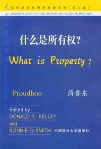 什么是所有权?