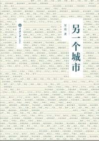 另一个城市