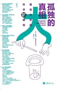 孤独的真相 - 【法】米歇尔·德普拉孔塔