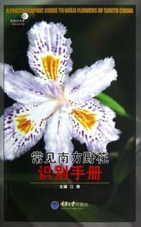 常见南方野花识别手册