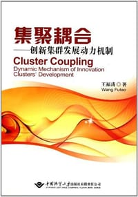 集聚耦合 - 王福涛