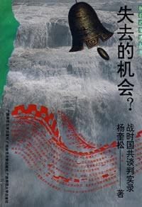 书籍 失去的机会?的封面