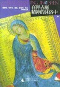 书籍 在拜占庭精神的沐浴中的封面