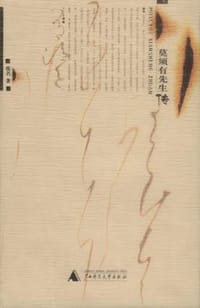 书籍 莫须有先生传的封面