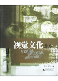 书籍 视觉文化读本的封面