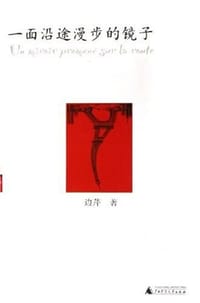 书籍 一面沿途漫步的镜子的封面