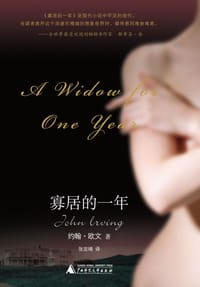 书籍 寡居的一年的封面