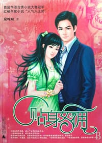 书籍 贴身女佣的封面