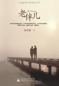 老伴儿 - 廖美惠