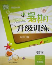 通城学典·暑期升级训练